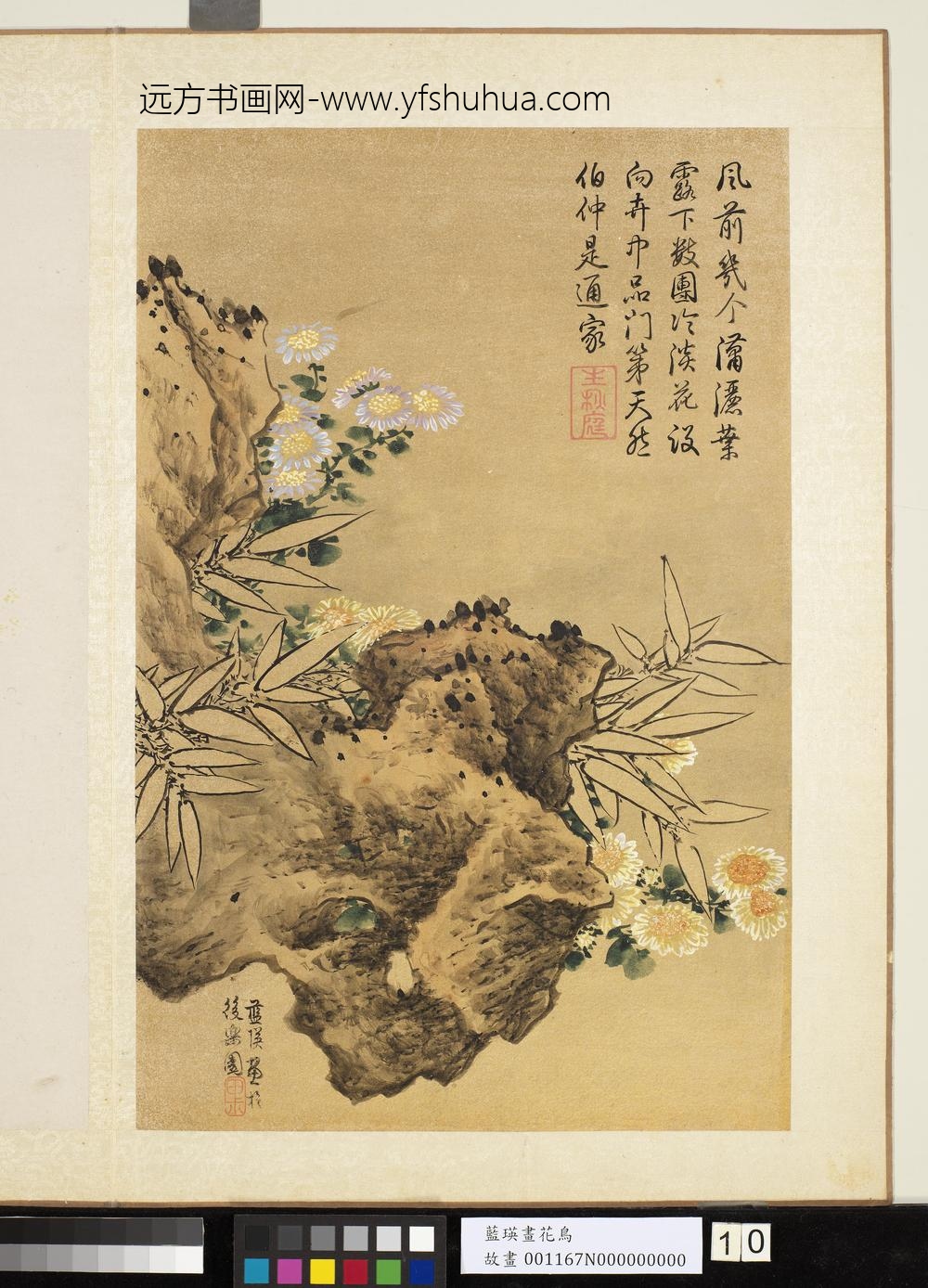 明蓝瑛画花鸟册秋岩竹菊 明蓝瑛画花鸟册秋岩竹菊