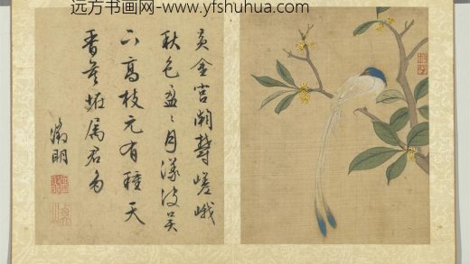 明陆治写生册桂花寿带