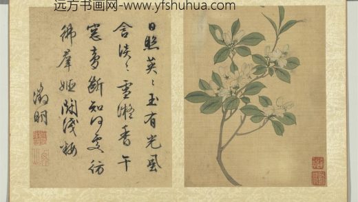 明陆治写生册花香蓊郁