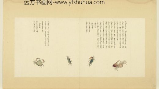 海错图第四册 无款拥剑蟹