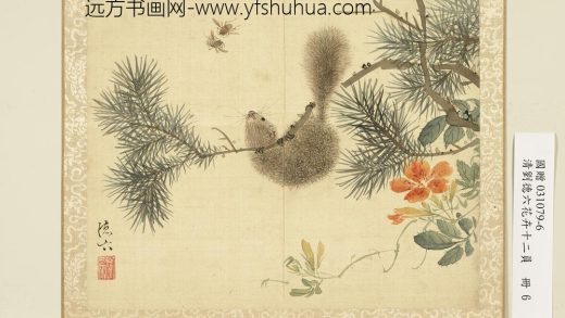 清刘德六花卉十二员册松鼠凌霄清刘德六花卉十二员册松鼠凌霄