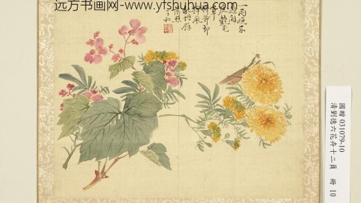 清刘德六花卉十二员册秋菊海棠清刘德六花卉十二员册秋菊海棠