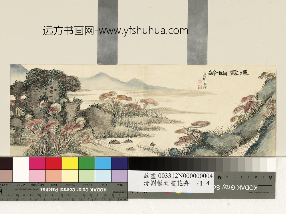 清刘权之画花卉册浥露颐龄 清刘权之画花卉册浥露颐龄