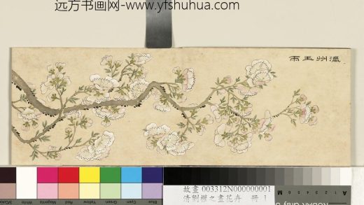 清刘权之画花卉册瀛州玉雨