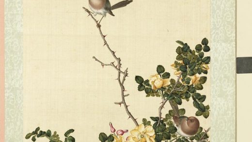 清屈兆麟仿郎世宁花卉册粉红鹦嘴月季花