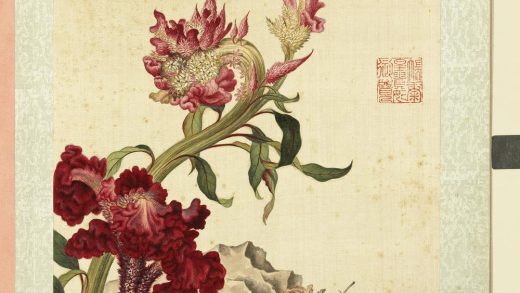 清屈兆麟仿郎世宁花卉册鸡冠花