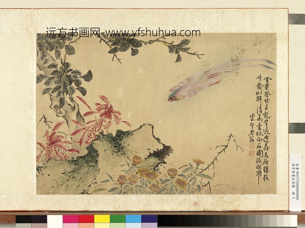 清李敬画花鸟图册桂菊寿带 清李敬画花鸟图册桂菊寿带