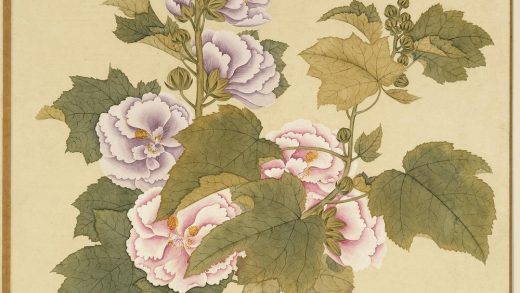 清李秉德临张伟花果鱼鸟册蜀葵