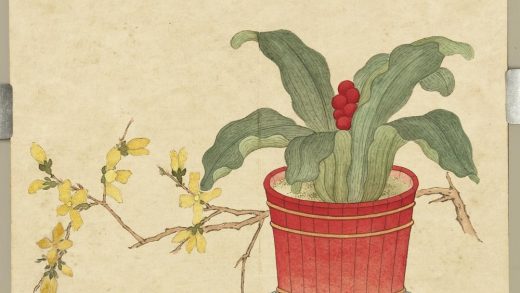 清沈焕画仙葩清供册 万年青花盆