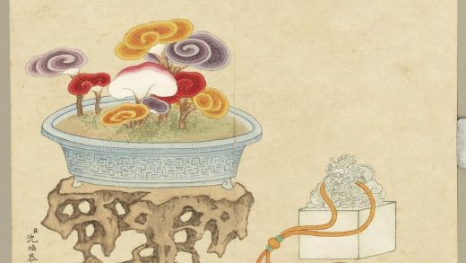 清沈焕画仙葩清供册 灵芝文房用具