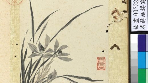 清蒋廷锡写生花卉册兰花