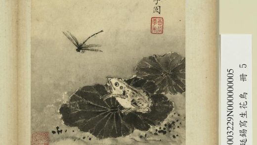 清蒋廷锡写生花鸟册荷蛙蜻蜓