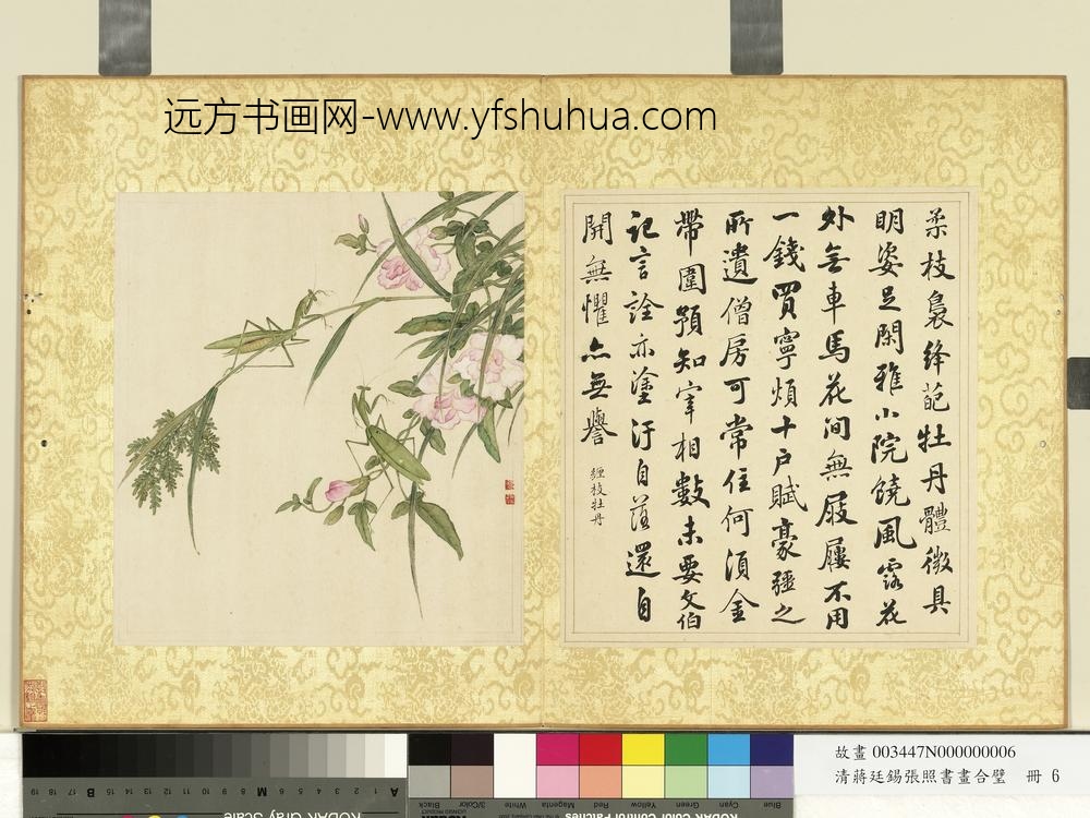 清蒋廷锡张照书画合璧册缠枝牡丹 清蒋廷锡张照书画合璧册缠枝牡丹