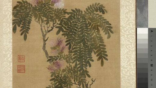 清蒋廷锡画花卉册合欢（粉扑花）