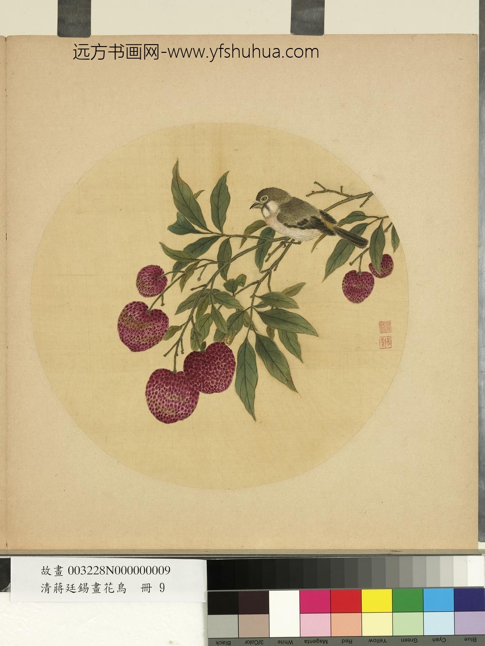 清蒋廷锡画花鸟册荔枝 清蒋廷锡画花鸟册荔枝