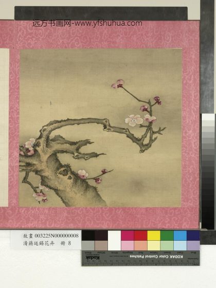 清蒋廷锡花卉册梅花