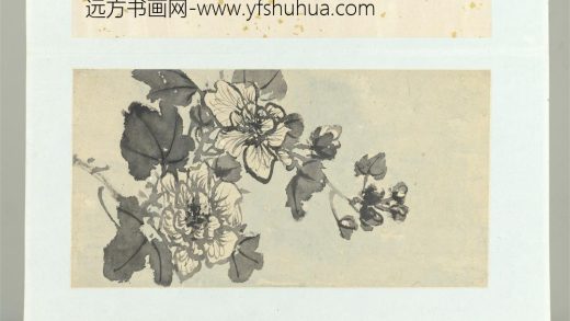 清释达受花卉册五