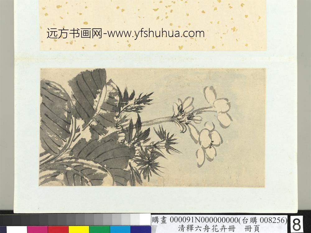 清释达受花卉册八 清释达受花卉册八