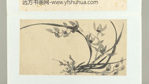 清释达受花卉册十