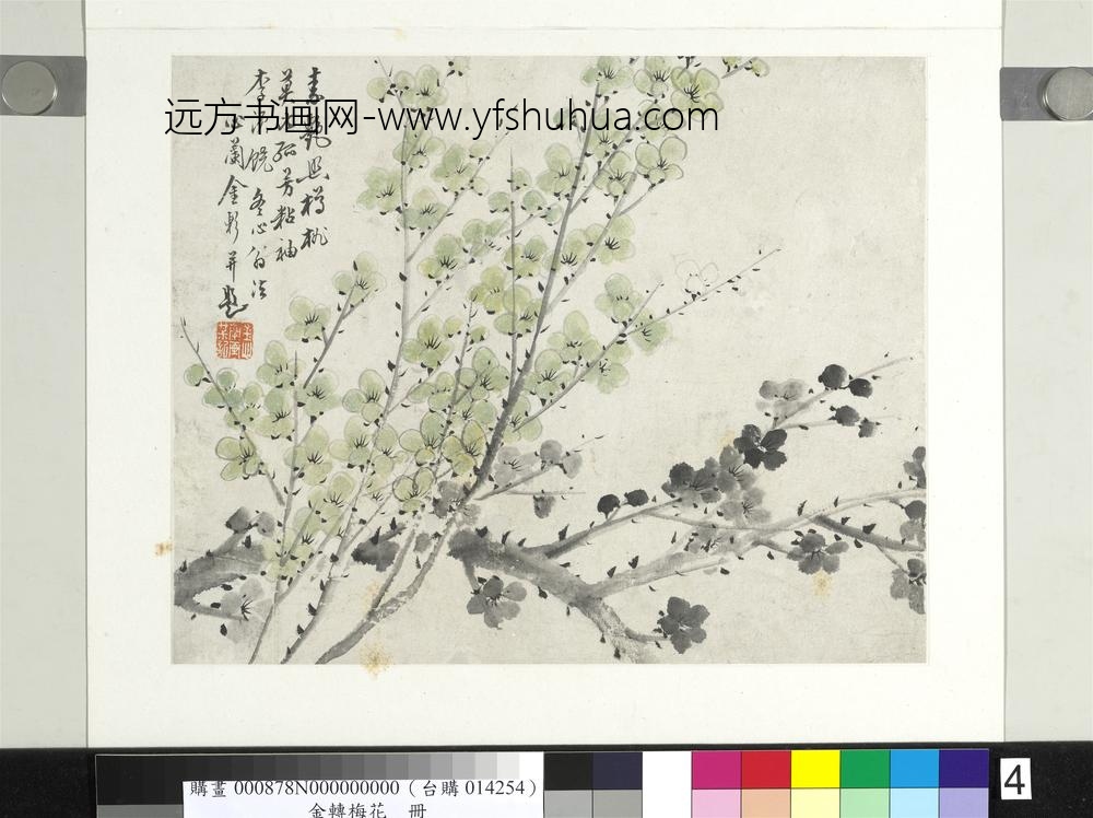 清金斓梅花册素艳照樽桃莫比 清金斓梅花册素艳照樽桃莫比