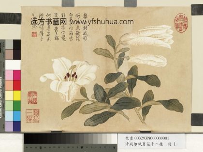 清钱维城夏华十二种册 百合花