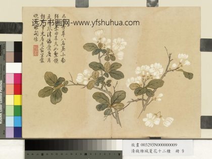 清钱维城夏华十二种册 茉莉花