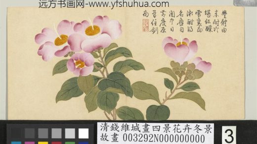清钱维城画四景花卉冬景册 杨妃梅