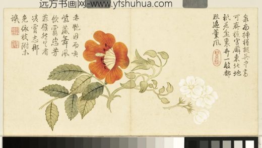 清钱维城画花卉册 茉莉凌霄