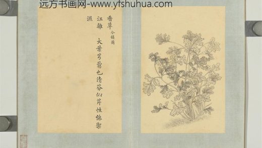 清门应兆补绘萧云从离骚图下册 香草