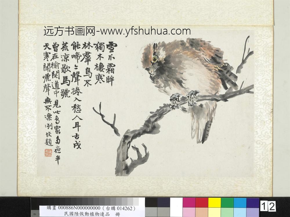 清陆恢动植物逸品册册鹰 清陆恢动植物逸品册册鹰