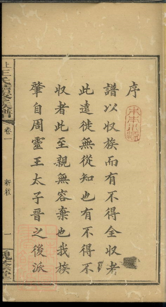 _上湘龍塘王氏續修族譜__