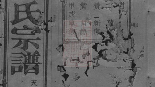 00240 中南王氏宗譜 Version 2 1207203017 1.jpg