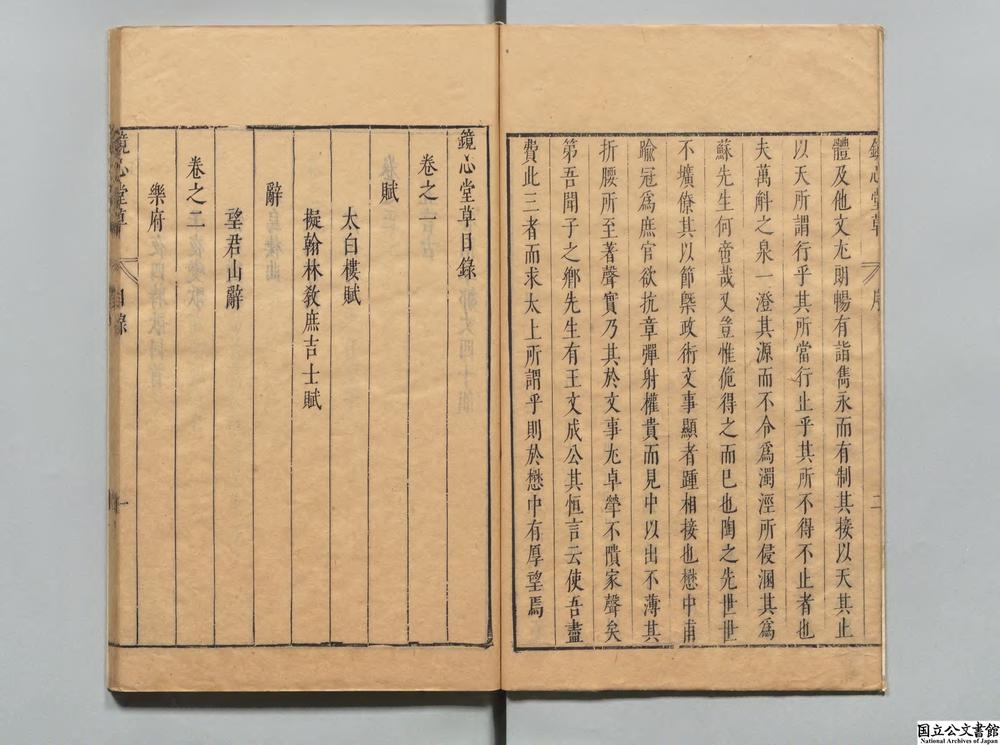 -镜心堂草__