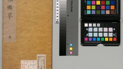 00631 存懒草 0123211333 1.jpg