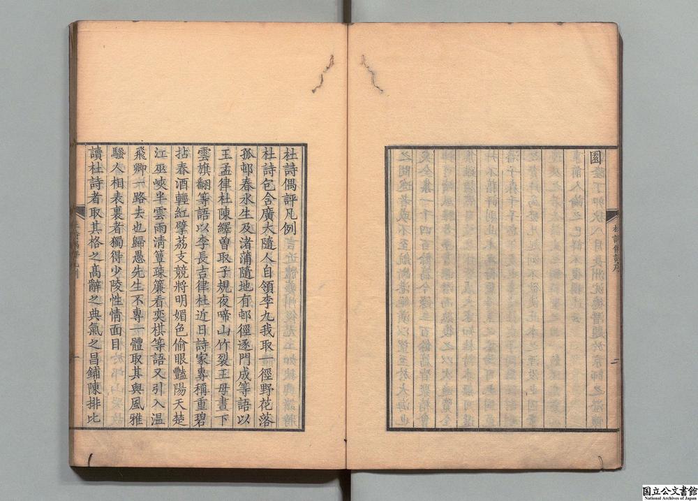 -杜诗偶评__