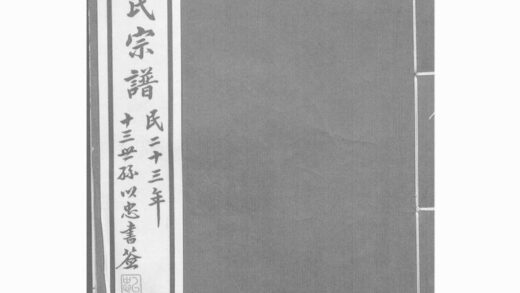 01110 南翔陳氏宗譜 1207204810 1.jpg