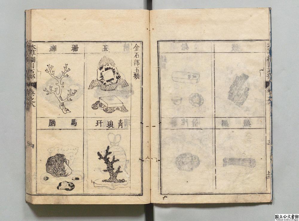 -本草纲目__