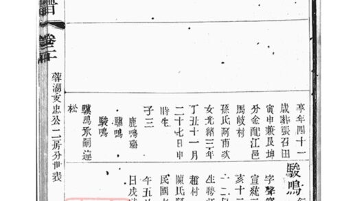 02645 岳氏宗譜 Part 7 1207211532 1.jpg