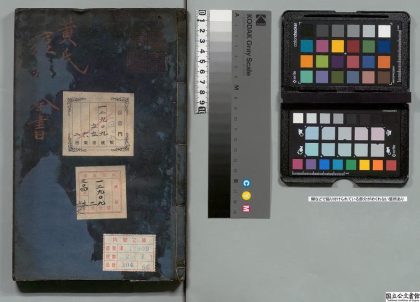 02679 痘疹全书 0124182421 1.jpg