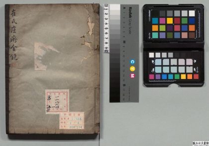 02716 痘疹金镜 0124182805 1.jpg