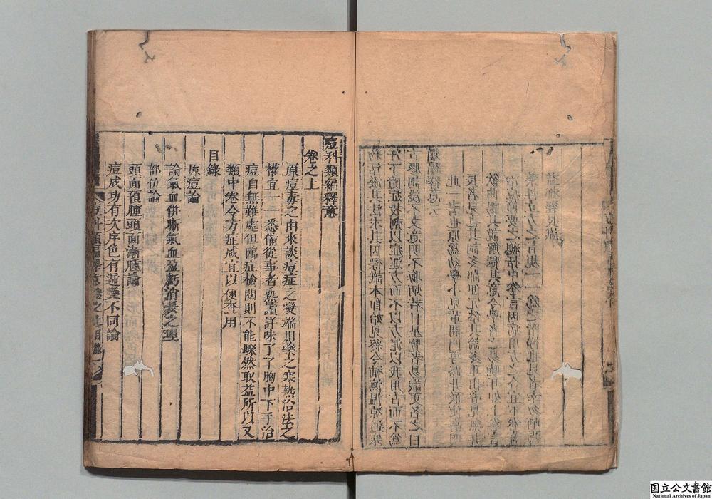 -痘科类编释意__