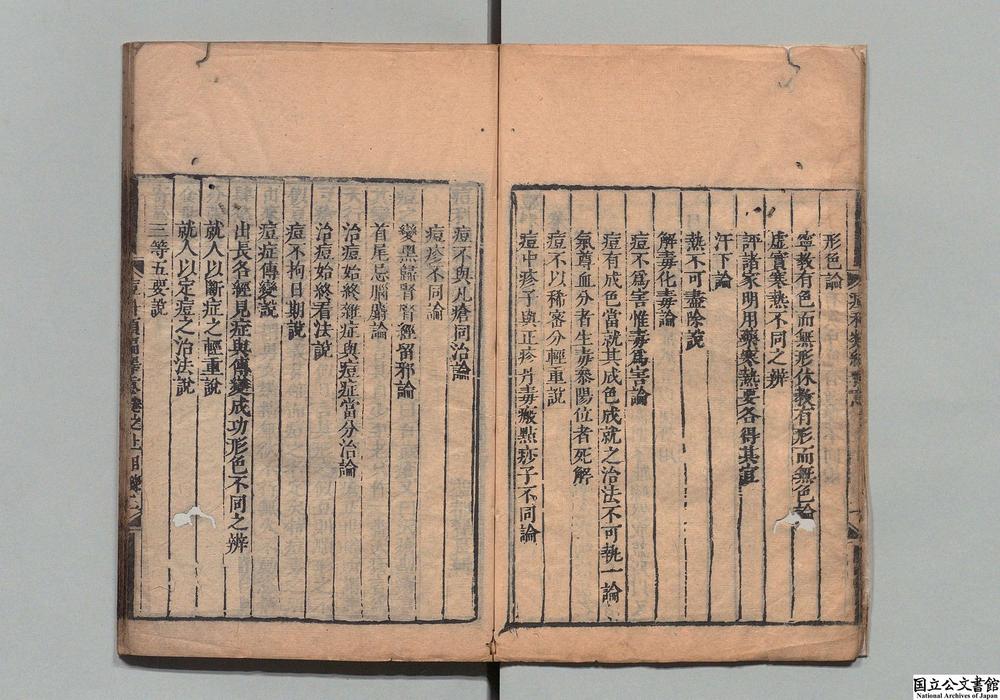 -痘科类编释意__