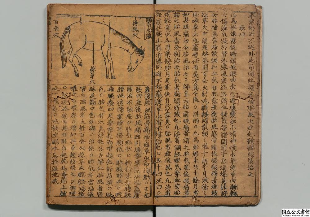 -新刻参补针医马经大全__