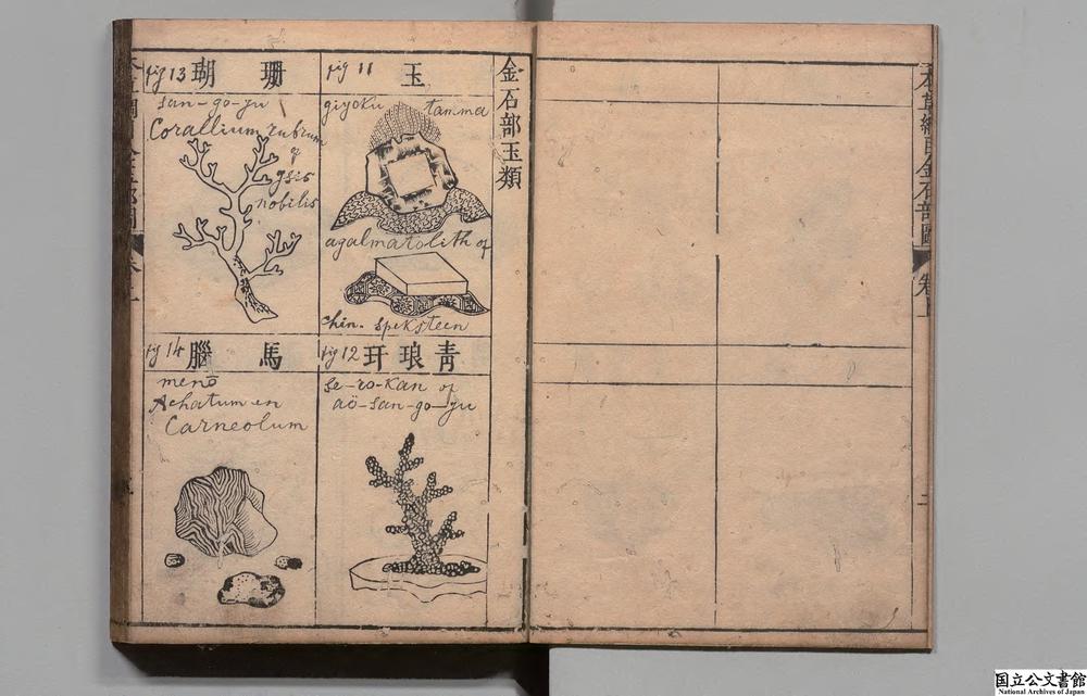 -本草纲目__