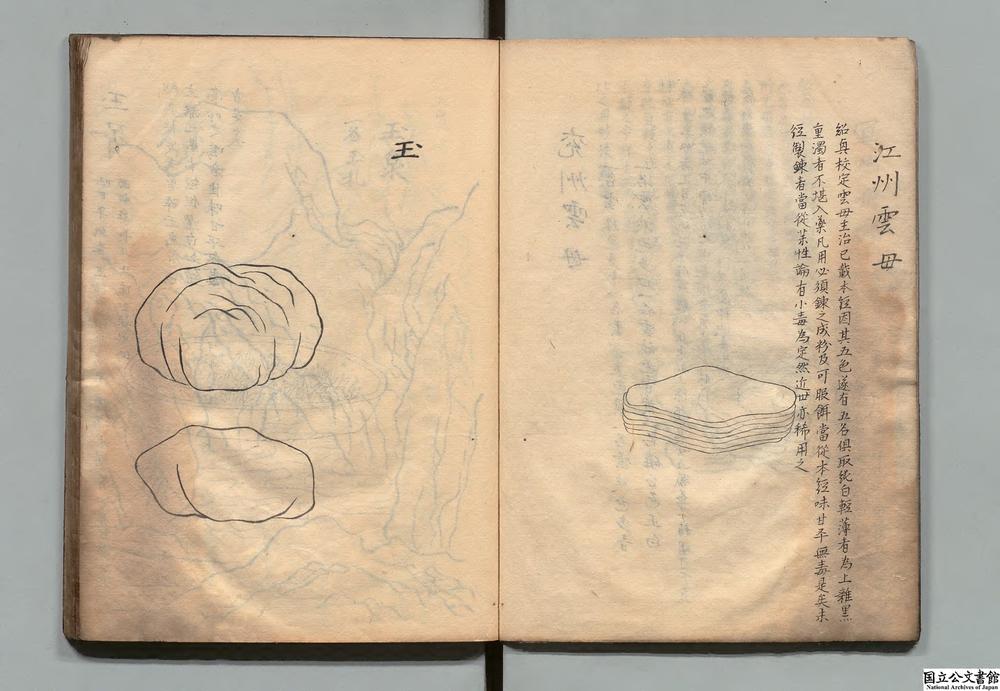 -绍兴校定经史证类备急本草画__