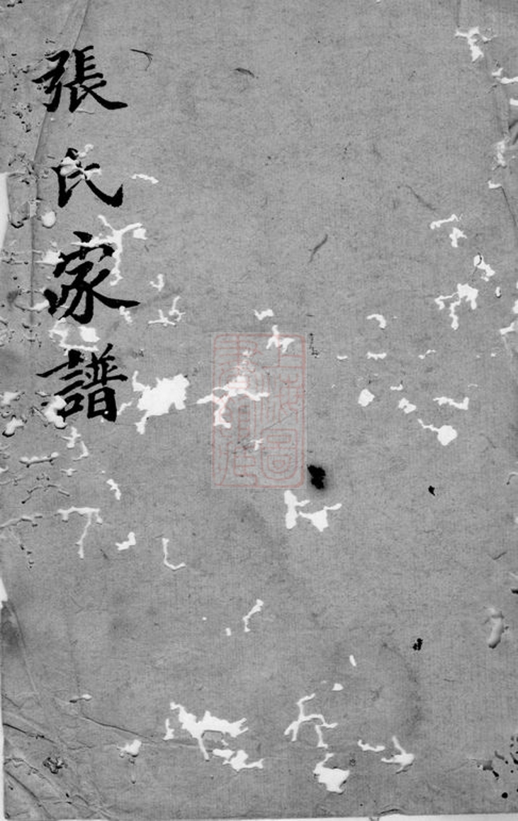 _張氏家譜 version __