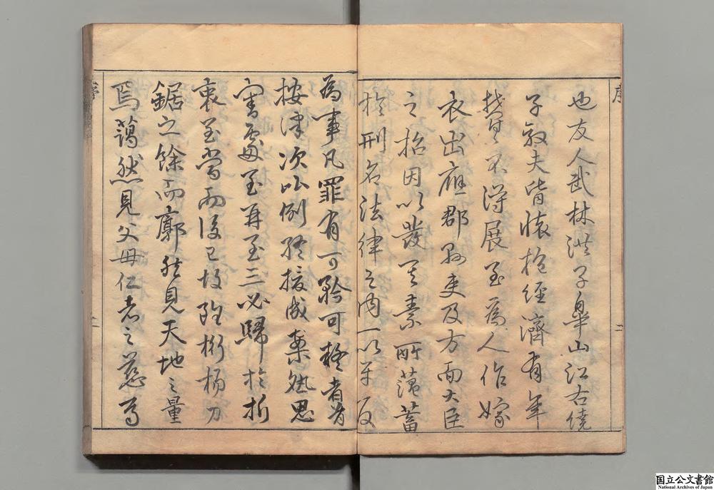 -成案质疑__