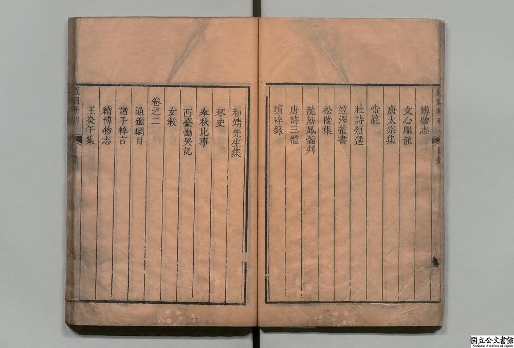 -铁网珊瑚__