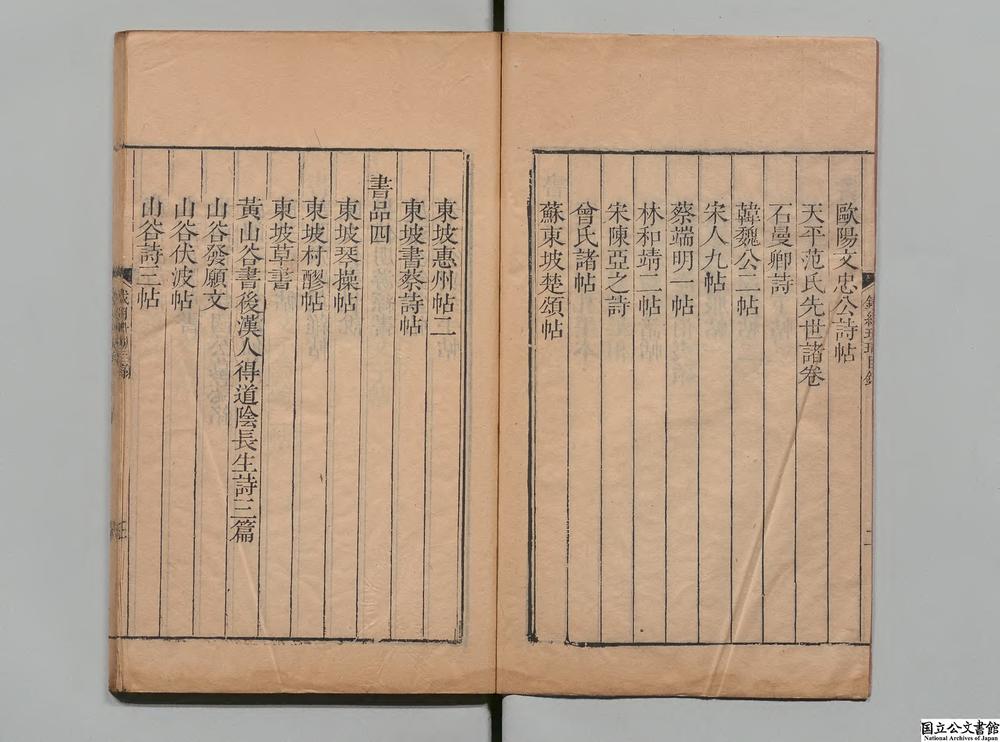 -铁网珊瑚__