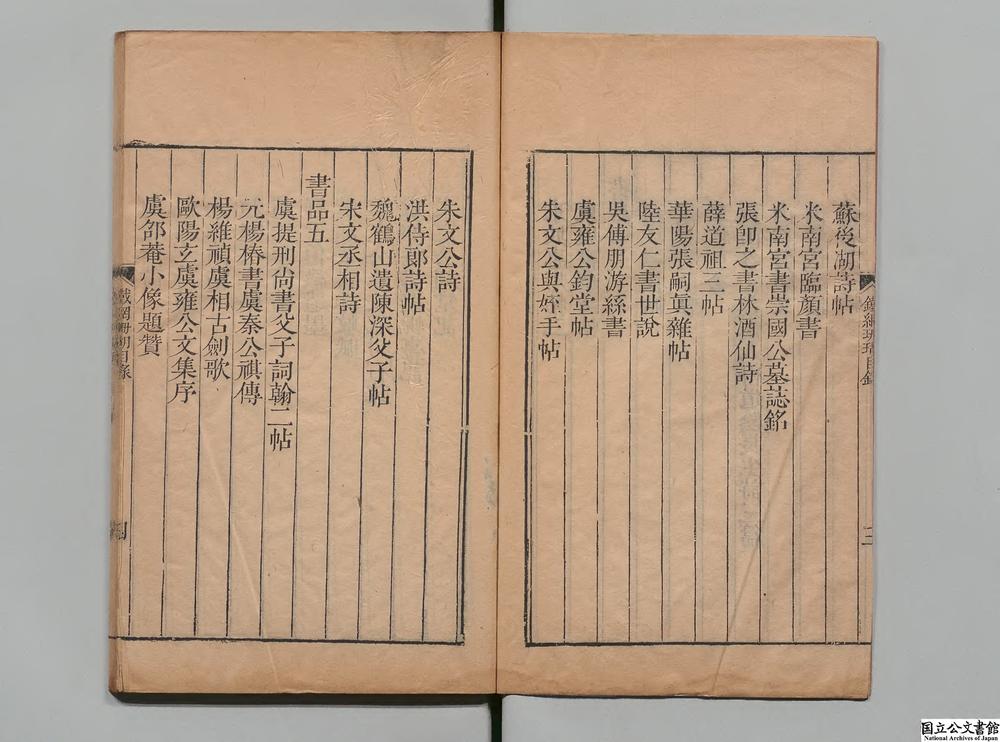-铁网珊瑚__